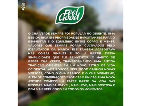 Chá Laranja e Gengibre Feel Good - 330ML - Image 3