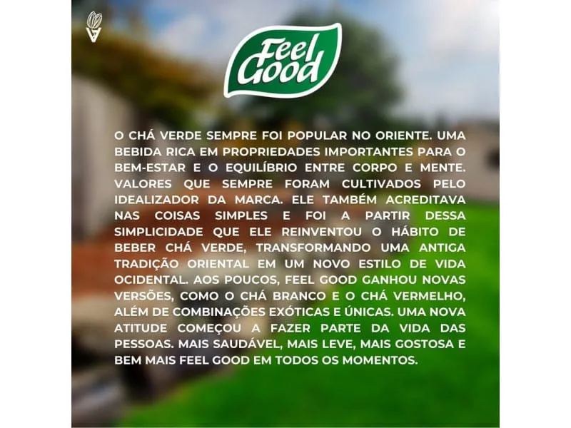 Chá Verde Feel Good - 330 ml - Imagem 3