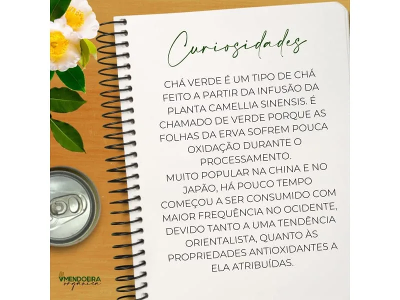 Chá Verde Feel Good - 330 ml - Imagem 4