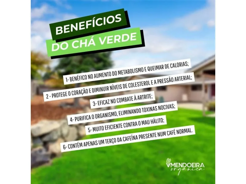 Chá Verde Feel Good - 330 ml - Imagem 5